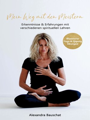 cover image of Mein Weg mit den Meistern